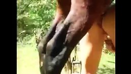 Experience Animalistic Pleasure with Horny Short Hair Ass Fucking Horse!