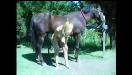 Blonde Beauty Slutting and Fucking a Powerful Horse - A Sensual Spectacle!