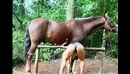 Public Horse Sex: Witness the Mature Slut's Wildest Fantasy Come True!