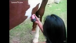 Latina Beauty Unleashed: Orgasmic Horse Sucking and Fucking - Horse Porn at its Finest!