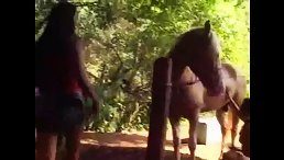 Latina Girl Dares to Take On Horse's Big Dick - The Results Are Jaw-Dropping!