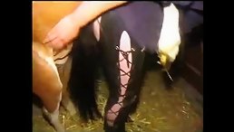 Shocking and Unbelievable: 'Dirty Whore' Engages In Disturbing Equine Encounter!