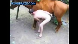 Man Shares His Love for Horse: Free Animal Porn for Zoophiles Everywhere!
