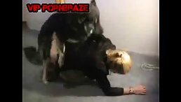 Stunning Video: Blonde Woman Brutally Raped by Dog on the Floor - Free Animal Porn!