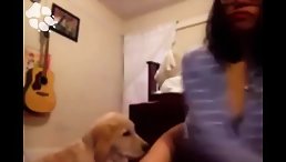 Outrageous! Golden Dog Caught Licking Teen's Private Parts!