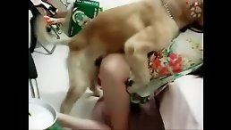 Girl and Dog Take an Unforgettable Ride - Dog Porn at Its Most Intimate!