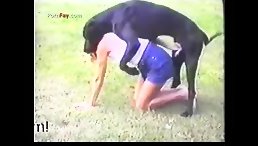 Unbelievable! Watch This Amazing Babe Engage in a Wild Public Dog Fucking!