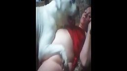 Woman Enjoys Unconditional Love From a Good Dog - Absolutely Free!
