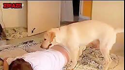 Sensational MILF Gets Wildly Fucked by Dog On Floor!